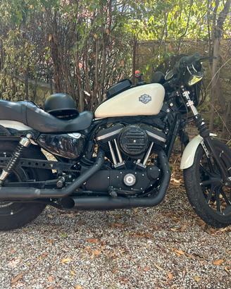 Harley 883