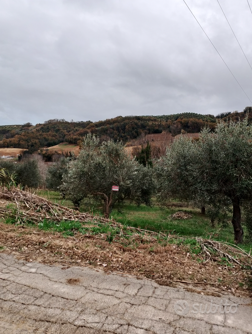 Terreno agricolo - Vista 4