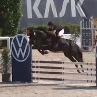 Pony sportivo completo, salto ostacoli