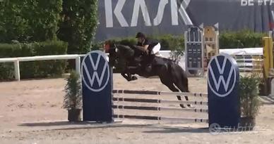 Pony sportivo completo, salto ostacoli