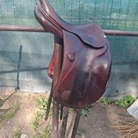 sella da dressage equipe