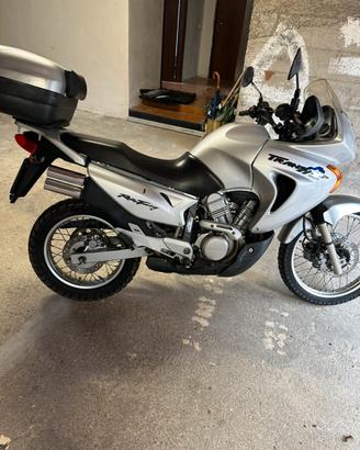 Honda transalp xl 650 v