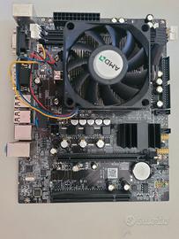 scheda madre ATX MINI AMD 3 + CPU AMD Athlon II X3