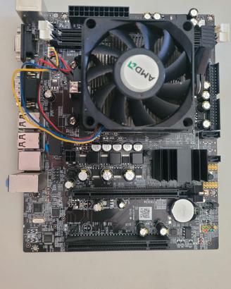 scheda madre ATX MINI AMD 3 + CPU AMD Athlon II X3