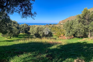 TER. AGRICOLO A AMANTEA