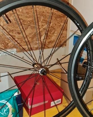 ruote r23 spline