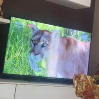tv 58 pollic come nuova smart jutube