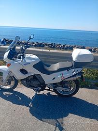Aprilia Pegaso 650 IE