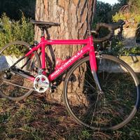 Bici da corsa Saccarelli 26