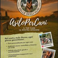 A.s.d. centro cinofilo valle degli ulivi