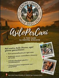 A.s.d. centro cinofilo valle degli ulivi