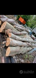 legna da ardere 