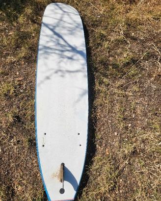 Surf da onda