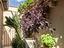 Immagine 11