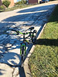 Bicicletta bambino