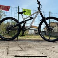 canyon Torque dh edition seagrave mullet M
