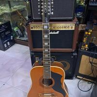 Chitarra eko ranger 12 corde