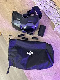 Dji Googles v2