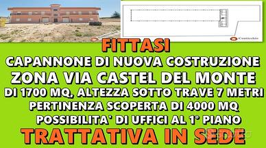 Capannone con Pertinenza Esterna