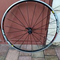 Ruota anteriore mavic aksium