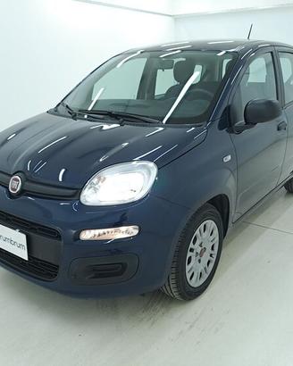 Fiat Panda Easy BZ319488 1.0 Mild Hybrid 69CV
