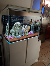 Acquario askoll emotion 80 con mobile e accessori