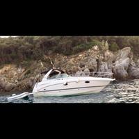 Chaparal Signature 290 con 2Mercruiser turbodiesel