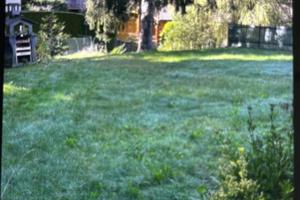 Bilocale con giardino