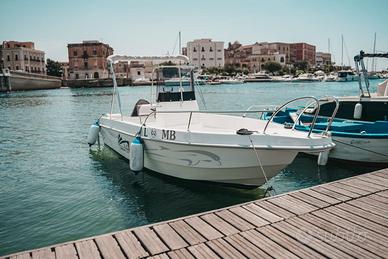 Straordinaria dolphin 21