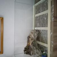 Acquario / Tartarughiera