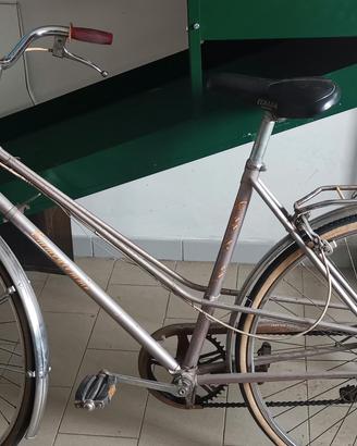 bici da passeggiata, con marcedi marca