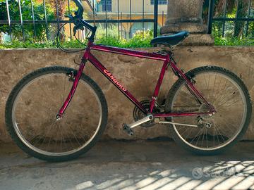 Bicicletta Mountain Bike