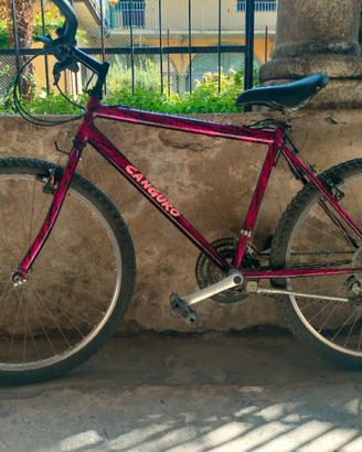 Bicicletta Mountain Bike