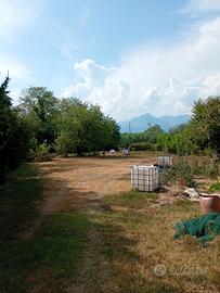terreno