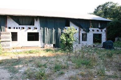 RUSTICO 350MQ x 2 CON TERRENO 4500MQ