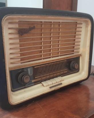 Telefunken Domino 1955