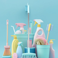 Pulizie e Stiro - Privati