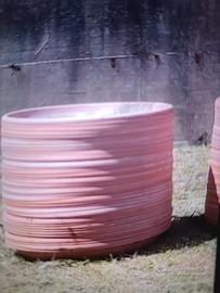 piantine agave e sottovasi 