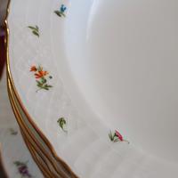 servizio piatti Seltmann Weiden Bavaria 