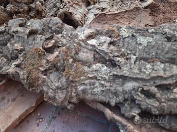 Sughero in pezzi Grezzo