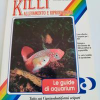 libro killifish