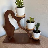 Composizione piante stile bonsai  (ST4)