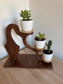 Composizione piante stile bonsai  (ST4)