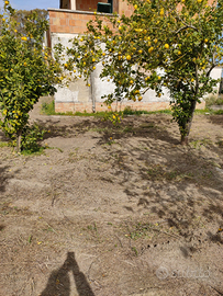 Terreno con rustico da ristrutturare