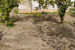 Terreno con rustico da ristrutturare