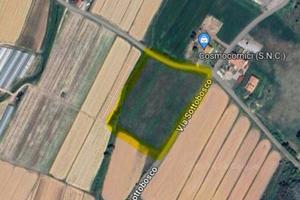 Terreno agricolo