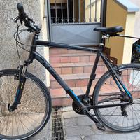 Bicicletta MTB Cube Curve 2017