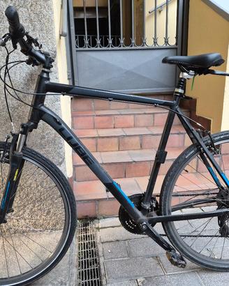 Bicicletta MTB Cube Curve 2017