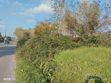 Terreno agricolo adiacente provinciale SP16