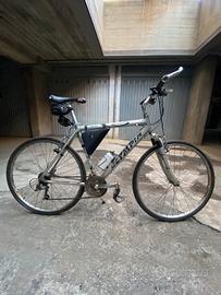 City bike Olympia